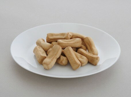 アイリスオーヤマ 【国産】焼きささみ 50g 1セット(10点) P−KJ−YS50 【返品・キャンセル不可】 572553