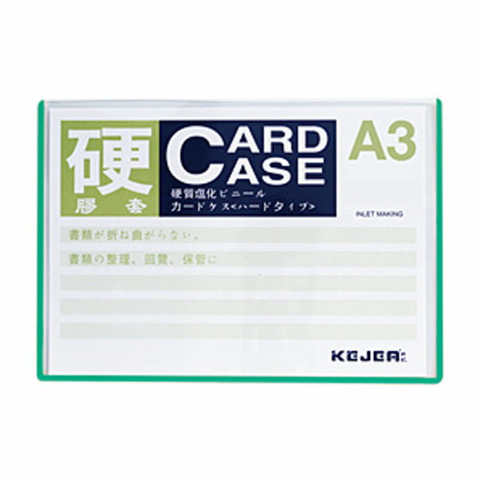 顼ɥ(ż) A310