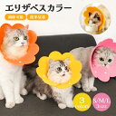 猫用診察・保定バッグ 体重目安0?2kg S(赤)