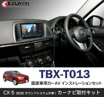 TBX-T013