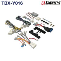 TBX-Y016