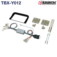 TBX-Y012
