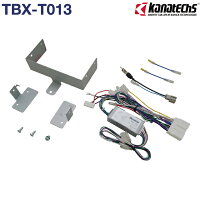 TBX-T013