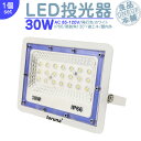 LED投光器 LEDライト LED作業灯 屋外 30W 2400LM LED 投光器 集魚灯 集魚ライト 看板灯 ハイパワー 高出力 照射角130度 省エネ L...