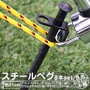 ペグ スチールペグ 8本セット 鉄製 鍛造 21cm 高強度 ペグセット ソリッド テント ペグ テーク キャンプ アウトドア テント 設営用具 硬い土 砂地 草地用 タープペグ タープ用 砂利地面にも