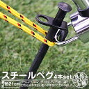 ペグ スチールペグ 4本セット 鉄製 鍛造 21cm 高強度 ペグセット ソリッド テント ペグ テーク キャンプ アウトドア テント 設営用具 硬い土 砂地 ...