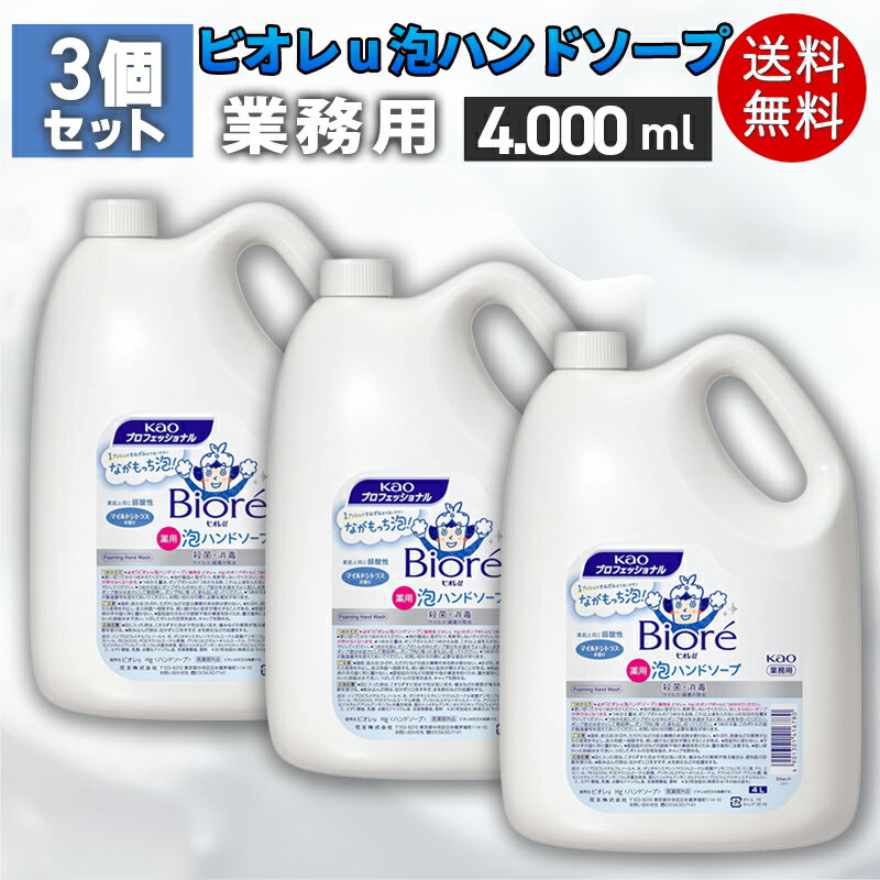 花王 ビオレU 泡ハンドソープ 4L 業務用 3個セット 大容量 詰め替え 花王プロシリーズ マイルドシトラスの香り 泡タイプ 手洗い用 医療 介護 保育 施設向け 衛生管理 まとめ買い 法人向け ハンドソープ