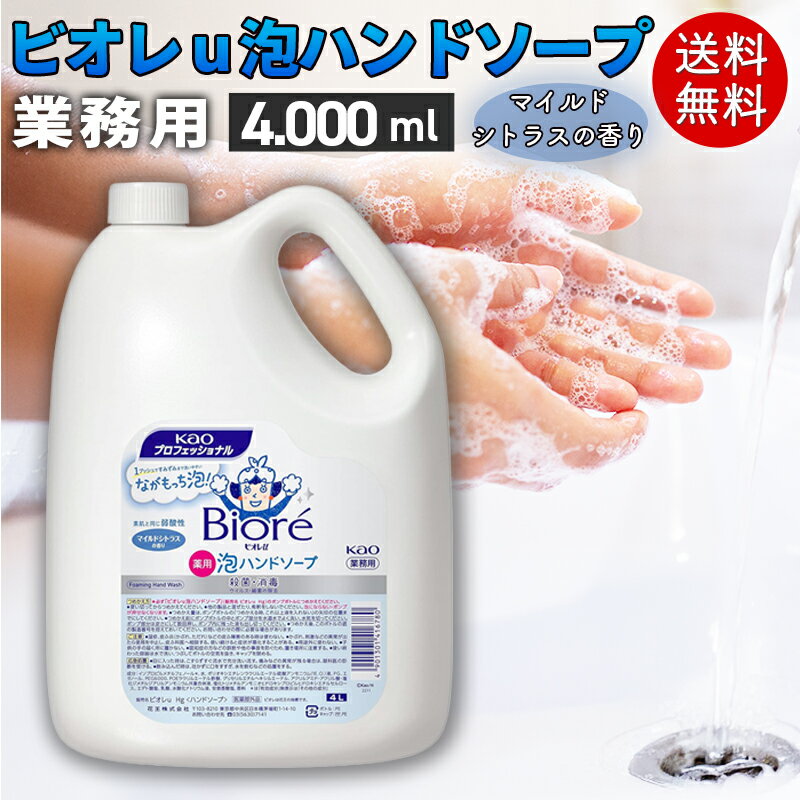 花王 ビオレU 泡ハンドソープ 4L 業務用 詰め替え 大容量 手洗い用 泡タイプ 医療 介護 保育 施設向け 衛生管理 まとめ買い 法人向け ハンドソープ 詰替え