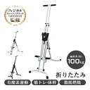 垂直クライマー 運動器具 健康ステッパー 2カラー 足踏み ルームクライミング 折りたたみ収納 ダイエット 筋トレ トレーニング 登山 ボルダリング 美尻 ヒップアップ 美脚 腹筋 全身運動 有酸素運動 ジム チョコザップ 新商品 新発売 即納