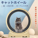 ネコ用 キャットホイール 運動不足 解消 猫 トレッドミル キャットホイール 安い ローラー ルームランナー 回し車 観覧車 体脂肪 運動 ランニング 本能 ペ...
