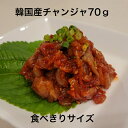 チャンジャ70g 冷凍 少量パック　食べきりサイズ　家の...