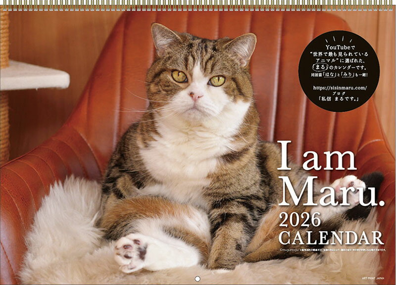 【送料込み】【取寄商品】 2026年カレンダーまるちゃん26CL-0391[9/20発売]