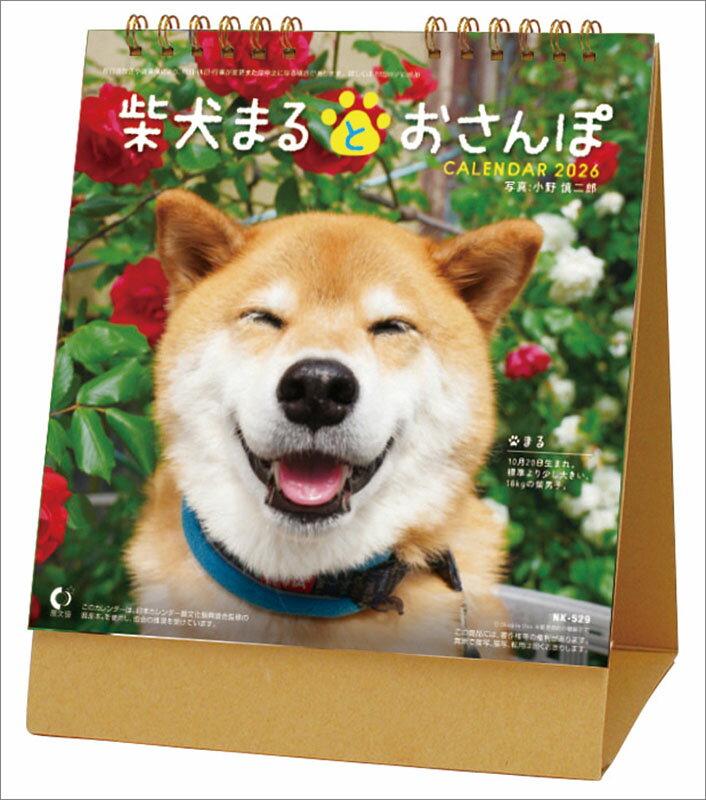 【送料込み】【取寄商品】 2026年カレンダー卓上 柴犬まるとおさんぽ26CL-0394[9/20発売]