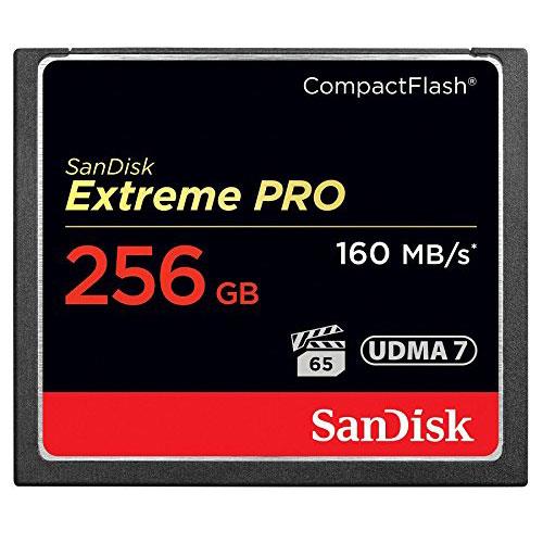 【あす楽関東_対応】SanDisk（サンデ