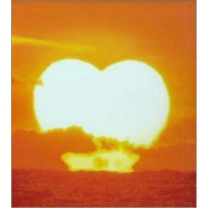 CD / �����󥪡��륹������ / �Х�å�3��the album of L / VICL-60660