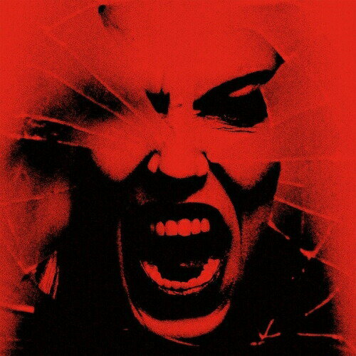 バック・フロム・ザ・デッド (解説歌詞対訳付)ヘイルストームへいるすとーむ　発売日 : 2022年5月11日　種別 : CD　JAN : 4943674351183　商品番号 : WPCR-18504【商品紹介】USペンシルバニア出身、紅一点のリジー・ヘイル率いるハード・ロック・バンド、Halestorm(ヘイルストーム)の5作目となる新作アルバム。プロデューサーのNick Raskulinecz(ニック・ラスクリネクツ - フー・ファイターズ、マストドン、アリス・イン・チェインズ他) とScott Stevens(スコット・スティーヴンズ — シャインダウン、ドートリー、ニュー・イヤーズ・デイ他)との共同制作。バンドのこれからのキャリアに多大に影響するであろう、強力作品。【収録内容】CD:11.バック・フロム・ザ・デッド2.ウィキッド・ウェイズ3.ストレンジ・ガール4.ブライトサイド5.ザ・スティープル6.テリブル・シングス7.マイ・リデンプション8.ボムシェル9.アイ・カム・ファースト10.サイコ・クレイジー11.レイズ・ユア・ホーンズ12.バック・フロム・ザ・デッド(アンプラグド)(日本盤ボーナス・トラック)13.バック・フロム・ザ・デッド(ライヴ)(日本盤ボーナス・トラック)