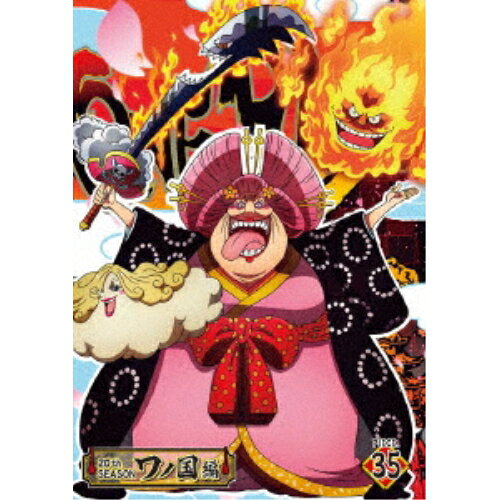 DVD / TV 애니메이션 / ONE PIECE 원피스 20TH 시즌 와노 국편 PIECE.35 / EYBA-13899