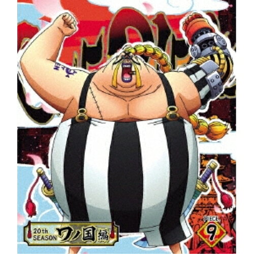 BD / TV 애니메이션 / ONE PIECE 원피스 20TH 시즌 와노 국편 PIECE.9 (Blu-ray) / EYXA-13060