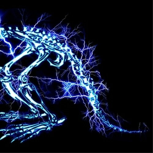 CD / SUPER BEAVER / 儚くない (CD+Blu-ray) (初回生産限定盤) / SRCL-12553