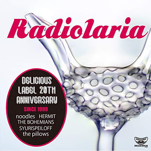 CD / オムニバス / Radiolaria / QECD-10010