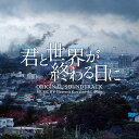 CD / Slavomir Kowalewski A-bee / 君と世界が終わる日に ORIGINAL SOUNDTRACK / VPCD-86361