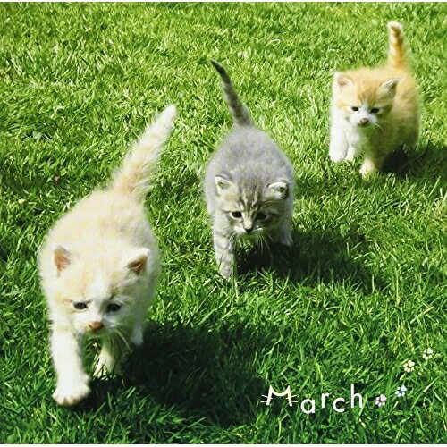 まるごと!マーチ (解説付)クラシックロジャー・ハーヴェイ、ロンドン・ブラス、フィリップ・E.ヒルズ、グレナディア・ガーズ・バンド、S.A.ワッツ少佐、ジャン=フランソワ・パイヤール、パイヤール室内管弦楽団　発売日 : 2017年8月23日　種別 : CD　JAN : 4943674266500　商品番号 : WPCS-13715【商品紹介】スポーツの秋は目の前!クラシカルに”まるごと!”はじける、行進曲を収録。運動会の”行進曲”だけではない。マーチのリズムは、作業効率もアップ!?【収録内容】CD:11.リパブリック賛歌2.ワシントン・ポスト3.パープル・ページェント4.ボギー大佐5.王宮の花火の音楽 HWV351 〜歓喜6.バレエ「くるみ割り人形」作品71 〜行進曲7.歌劇「アイーダ」 〜エジプトに栄光あれ8.歌劇「アイーダ」 〜凱旋行進曲9.カレリア組曲 作品11 〜行進曲風に10.劇的物語「ファウストの劫罰」作品24 〜ハンガリー行進曲11.交響曲 第6番 ロ短調 作品74「悲愴」 〜第3楽章:アレグロ・モルト・ヴィヴァーチェ12.楽劇「ワルキューレ」 〜ワルキューレの騎行13.劇音楽「アテネの廃墟」作品113 〜トルコ行進曲14.組曲「3つのオレンジへの恋」作品33a 〜行進曲15.自由の鐘16.雷神17.威風堂々 第1番 作品39-118.ラデツキー行進曲 作品228