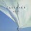 CD / CASIOPEA / HALLE / VRCL-2233