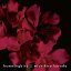 CD / 黒田倫弘 / hummingbird (限定50枚盤/通常盤) / LEAP-6215 1,650円