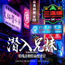 CD / ゲイリー芦屋 / 日本テレビ系土ドラ10 潜入兄妹 特殊詐欺特命捜査官 ORIGINAL SOUNDTRACK / VPCD-87171