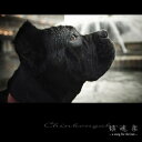 CD / オムニバス / 鎮魂楽 〜a song for the last〜 / IOCD-20247