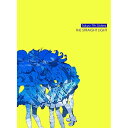 CD / Tokyo 7th シスターズ / THE STRAIGHT LIGHT(プレミアムボックス) (4CD+DVD) (歌詞付) (生産限定プレミアムボ...