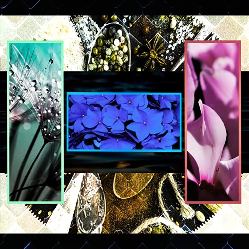 CD / DRAMAticEND / 模倣フィルム (CD+DVD) (初回プレス盤) / DTE-1