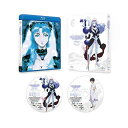 BD / OVA / 神秘の世界エルハザード OVA Blu-ray BOX(スペシャルプライス版)(Blu-ray) (スペシャルプライス版) / GNXA-...