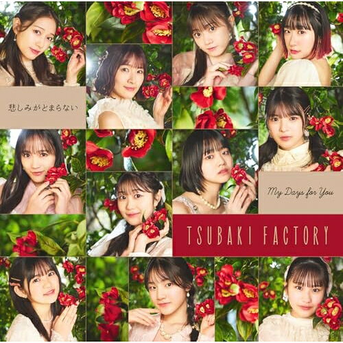 My Days for You/悲しみがとまらない (CD+Blu-ray) (初回生産限定盤SP)つばきファクトリーツバキファクトリー つばきふぁくとりー　発売日 : 2025年6月04日　種別 : CD　JAN : 4942463793050　商品番号 : EPCE-7930【商品紹介】つばきファクトリーのメジャー通算13作目となる両A面シングルリリース決定!2025年4月30日をもって卒業することを発表した八木栞のラストシングルとなります。【収録内容】CD:11.My Days for You2.悲しみがとまらない3.My Days for You(Instrumental)4.悲しみがとまらない(Instrumental)BD:21.OPENING2.初恋サンライズ3.サマー・チャレンジャー4.MC5.リゾナント ブルー6.Fiesta! Fiesta!7.Say Yeah!-もっとミラクルナイト-8.真夏の光線9.サンバ!つばきジャネイロ10.MC11.同じ時給で働く友達の美人ママ12.嵐を起こすんだ Exciting Fight!13.夏 LOVE ロマンス14.Stay free & Stay tuned15.ナインティーンの蜃気楼16.君と僕の絆17.MC18.ベイビースパイダー19.妄想だけならフリーダム20.鼓動OK?21.青春エクサバイト22.断捨ISM23.VTR24.アイドル天職音頭25.MC26.今夜だけ浮かれたかった27.帰ろう レッツゴー!28.勇気 It's my Life!(特典映像)29.ハッピークラッカー(特典映像)