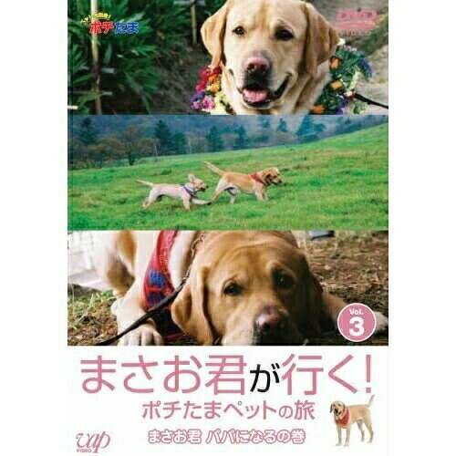 まさお君が行く!ポチたまペットの旅 VOL.3 まさお君 パパになるの巻バラエティまさお君、松本秀樹　発売日 : 2007年10月24日　種別 : DVD　JAN : 4988021128452　商品番号 : VPBF-12845
