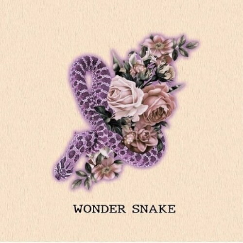 WONDER SNAKEWONDER SNAKEワンダースネイク わんだーすねいく　発売日 : 2022年2月02日　種別 : CD　JAN : 4948722558651　商品番号 : DRRC-1009【商品紹介】メンバーが作詞作曲にチャレンジしたグループ名を提げた楽曲、WONDER SNAKEを収録!立ち上げより大切に育ててきたグループの思いのこもった楽曲を中心に、メンバー一人一人の個性にもフォーカスを当てたそれぞれのメンバーがメインの楽曲も収録されています。今を生きる、WONDER SNAKE、のまさに現在をリアルに感じ取れる一枚。【収録内容】CD:11.Rampage2.P!C!G!23.ラブリーの定理4.WONDER SNAKE5.HOPE6.不思議な国のピエロ7.嫌いになっていく8.夜を超えて9.未来日記