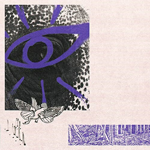 CD / HIPPO CAMPUS / LP3 (解説歌詞対訳付) / XQNK-1030