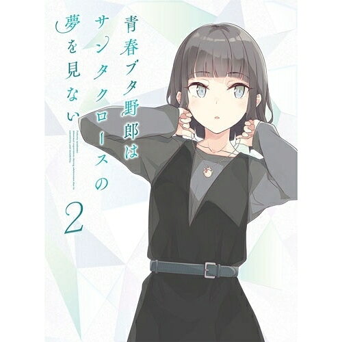 青春ブタ野郎はサンタクロースの夢を見ない 2(Blu-ray) (Blu-ray+CD) (完全生産限定版)TVアニメ鴨志田一、溝口ケージ、石川界人、瀬戸麻沙美、雨宮天、山根綺、田村里美、fox capture plan　発売日 : 2025年10月22日　種別 : BD　JAN : 4534530160096　商品番号 : ANZX-17713