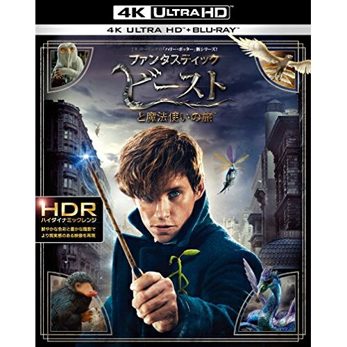 BD / 에디 레도메인 / 판타스틱 비스트와 마법사 여행 (4K Ultra HD Blu-ray + Blu-ray) / 1000706324