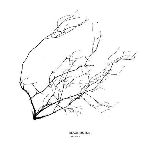 CD / ブラック・モーター / ブランチズ / WJCD-5J[4/03]発売