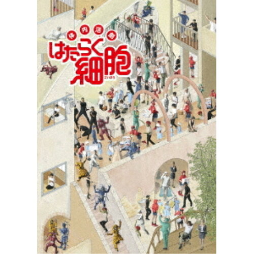 体内活劇 はたらく細胞(Blu-ray) (本編Blu-ray+特典DVD) (完全生産限定版)趣味教養和田雅成、七木奏音、君沢ユウキ、清水茜　発売日 : 2019年3月27日　種別 : BD　JAN : 4534530114334　商品番号 : ANZX-10113