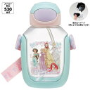 【送料無料】 水筒 ディズニープリンセス 530ml スケーター(Skater)