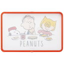 【送料無料】 抗菌 両面ガード付 まな板 SNOOPYスケーター(Skater)