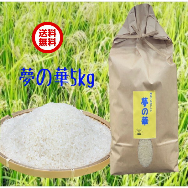 山形県産特別栽培米【30年産】つや姫3kg 【送料無料】