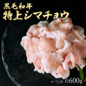 ギフト 肉 黒毛和牛 国産 特上 神様の シマチョウ 約600g 約6～7人前 牛 焼肉 ホルモン 牛肉 和牛 もつ鍋 冷凍 訳あり(ワケあり/訳アリ)ではございません A4～A5ランク グルメ 食品