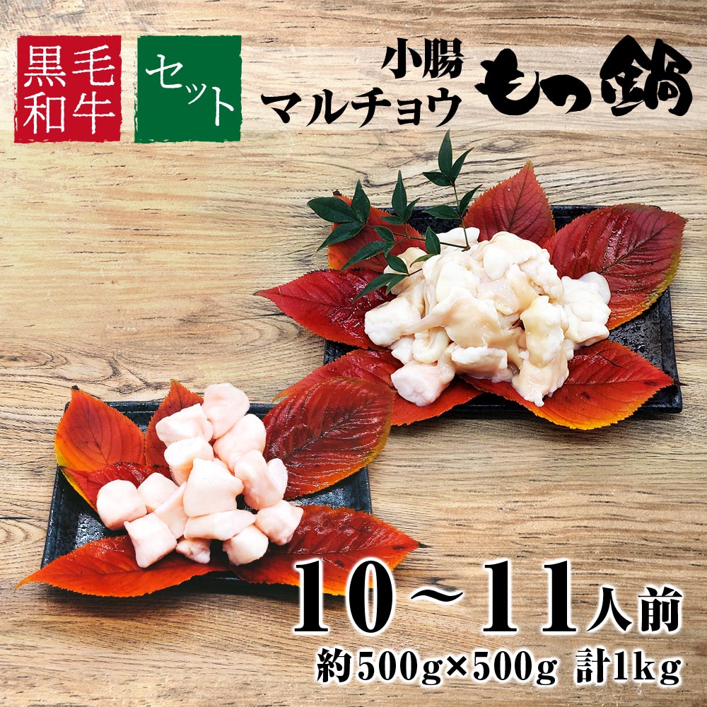 もつ・ホルモンセット 黒毛和牛 A4等級 特上 小腸約500g＆マルチョウ約500g 合計約1kg 約10〜11人前冷凍 食べ比べ 食品