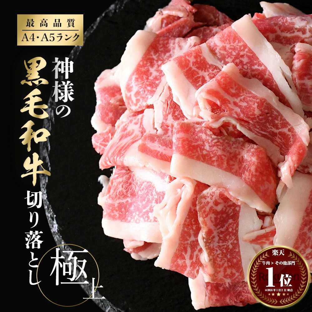 父の日 ギフト 肉 送料無料 黒毛和牛 国産 神様の 切り落とし 極上 約500g 約1kg 約5～6人前 約10～11人前 250g 2パック 250g 4パック すき焼き しゃぶしゃぶ 焼肉 薄切り スライス 切落し 切…