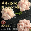 ギフト 肉 黒毛和牛 神様の選べる ホルモン3種 3～4人前 約3～400g 和牛 特上 ミノ 小腸 マルチョウ 上ミノ 丸腸 焼肉 もつ もつ鍋 ホルモン ホルモン焼き グルメ 訳あり(わけあり/訳アリ)ではございません！食品 お試し価格