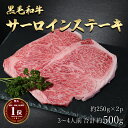 ステーキギフト ギフト 肉 送料無料 国産 黒毛和牛 ロース サーロイン ステーキ 約3~4人前 約500g (250g×2) 国産牛 和牛 厚切り 焼肉 焼き肉 冷凍 BBQ バーベキュー キャンプ お歳暮 グルメ A4～A5ランクもどうぞ お取り寄せ