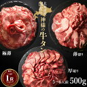 ギフト 肉 送料無料 牛タン 国産 北海道産 焼肉 タン 薄切り スライス 約500g 約5～6人前 牛たん 国産牛 無添加 食品 グルメ 訳あり(わけあり/訳アリ)ではございませんもどうぞ お取り寄せ 緊急支援 切り落とし 1kgもあります